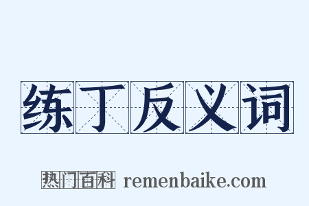 练丁反义词是什么意思的图片